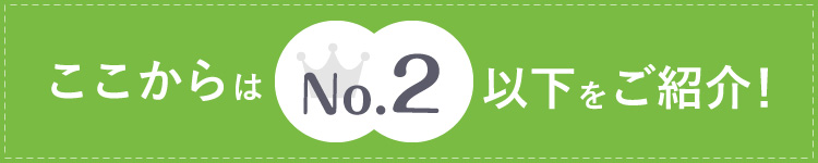 ここからはNo.2以下をご紹介！